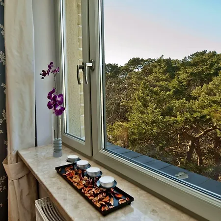 Apartamento 4 Zywioly Blueapart