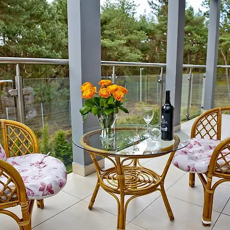 Apartment 4 Zywioly Blueapart